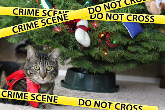 christmas-crime-scene