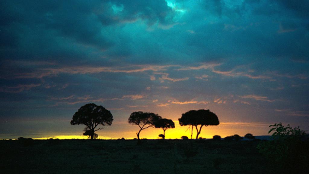 1993_158-11a_masai_mara_sunset