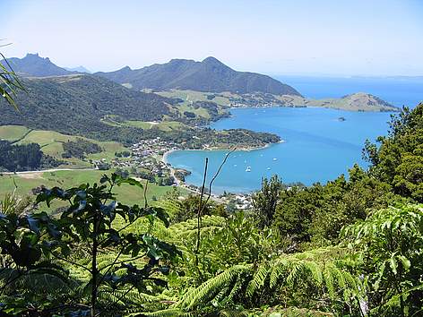 view_from_mt_manaia_nzlandcaretrust_15732