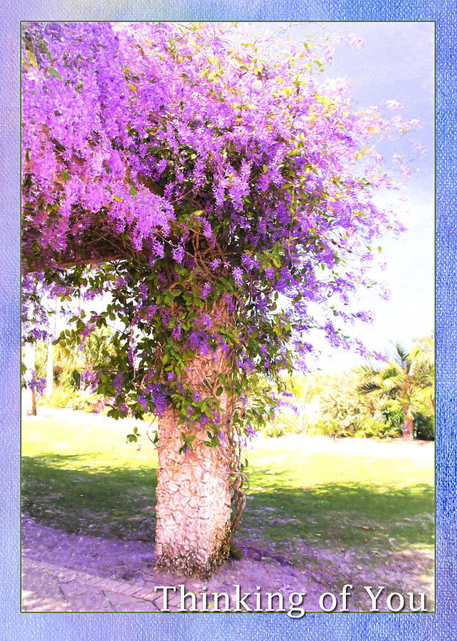 thinking-of-you-purple-flowers-daphne-sampson