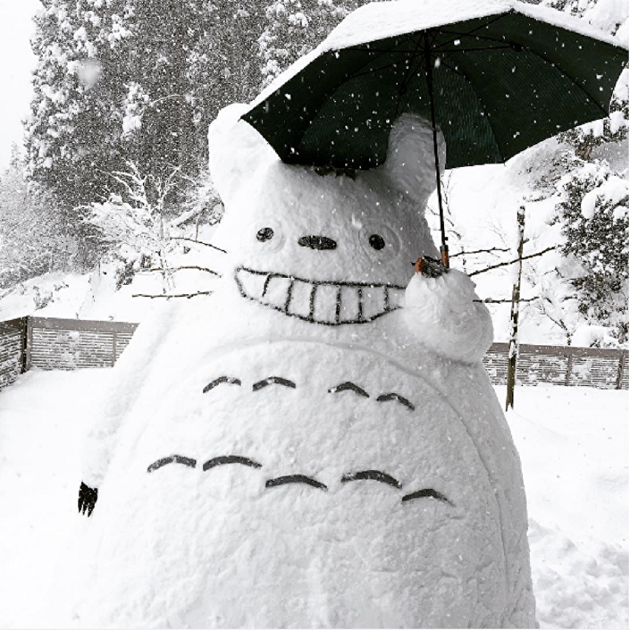 【桃源诗社】2019年第一场雪 /精神病症状 | 新西兰毛传媒